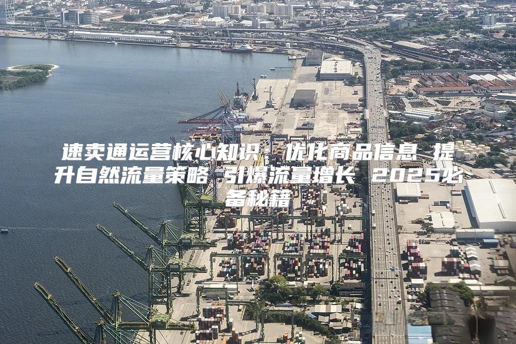 速卖通运营核心知识：优化商品信息 提升自然流量策略 引爆流量增长 2025必备秘籍