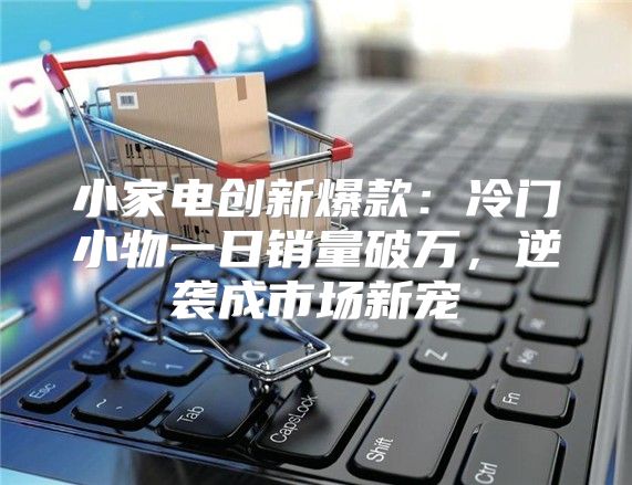 小家电创新爆款：冷门小物一日销量破万，逆袭成市场新宠