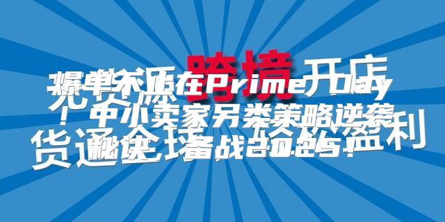 爆单不止在Prime Day！中小卖家另类策略逆袭秘诀，备战2025！