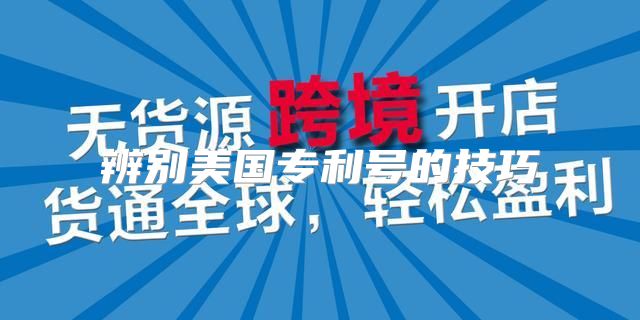 辨别美国专利号的技巧