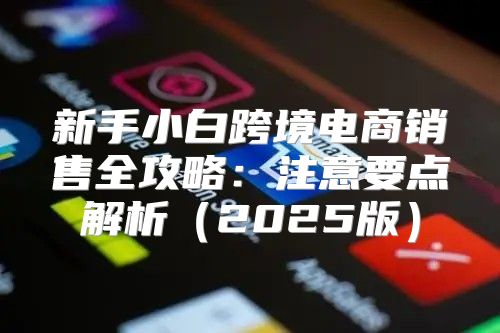 新手小白跨境电商销售全攻略：注意要点解析2025版