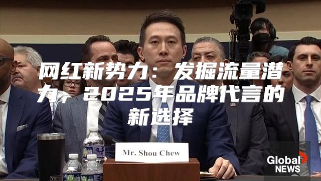 网红新势力：发掘流量潜力，2025年品牌代言的新选择