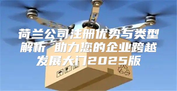 荷兰公司注册优势与类型解析 助力您的企业跨越发展大门2025版