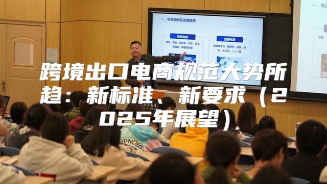 跨境出口电商规范大势所趋：新标准、新要求2025年展望