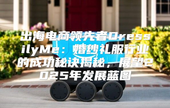 出海电商领先者DressilyMe：婚纱礼服行业的成功秘诀揭秘，展望2025年发展蓝图
