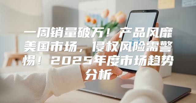 一周销量破万！产品风靡美国市场，侵权风险需警惕！2025年度市场趋势分析