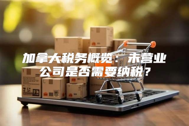 加拿大税务概览：未营业公司是否需要纳税？