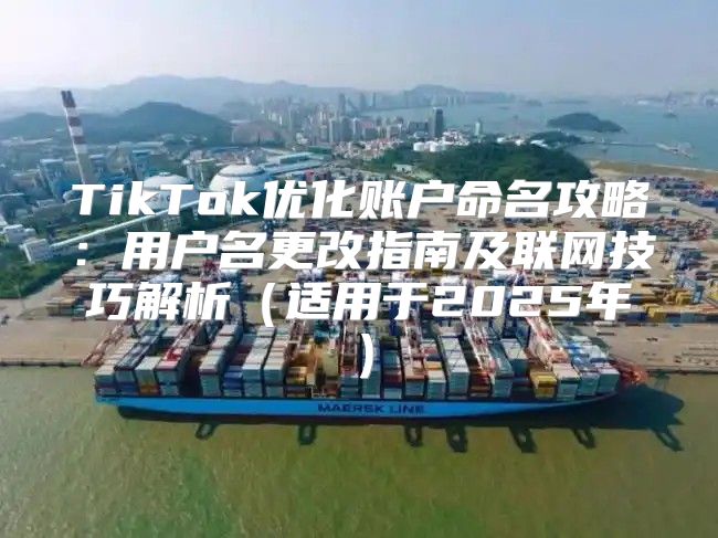 TikTok优化账户命名攻略：用户名更改指南及联网技巧解析适用于2025年