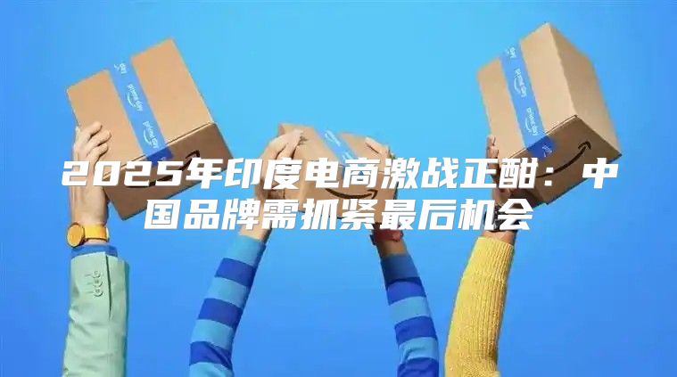 2025年印度电商激战正酣：中国品牌需抓紧最后机会