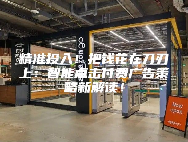 精准投入！把钱花在刀刃上：智能点击付费广告策略新解读！