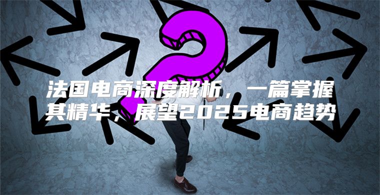 法国电商深度解析，一篇掌握其精华，展望2025电商趋势