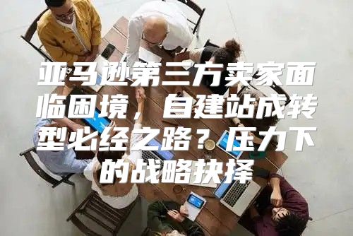 亚马逊第三方卖家面临困境，自建站成转型必经之路？压力下的战略抉择