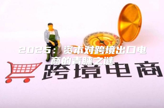 2025资本对跨境出口电商的青睐之谜