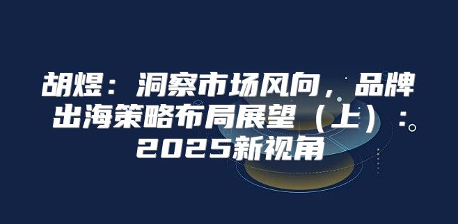 胡煜：洞察市场风向，品牌出海策略布局展望上：2025新视角