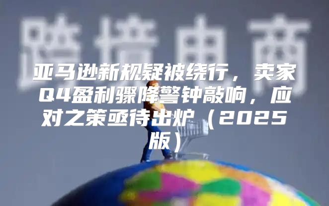 亚马逊新规疑被绕行，卖家Q4盈利骤降警钟敲响，应对之策亟待出炉2025版