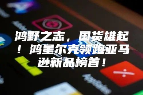 鸿野之志，国货雄起！鸿星尔克领跑亚马逊新品榜首！