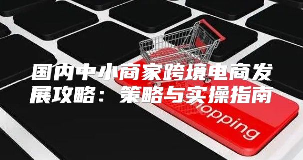 国内中小商家跨境电商发展攻略：策略与实操指南