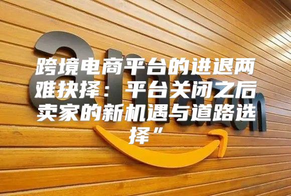 跨境电商平台的进退两难抉择：平台关闭之后卖家的新机遇与道路选择”