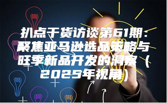 扒点干货访谈第61期：聚焦亚马逊选品策略与旺季新品开发的洞察2025年视角