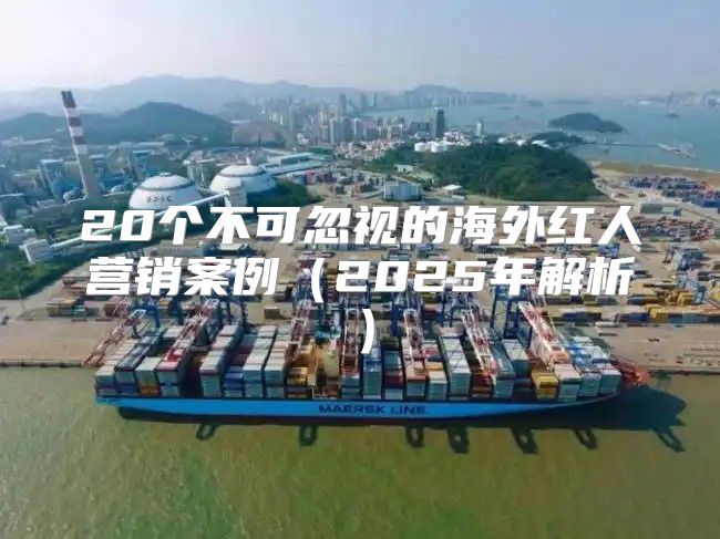 20个不可忽视的海外红人营销案例2025年解析