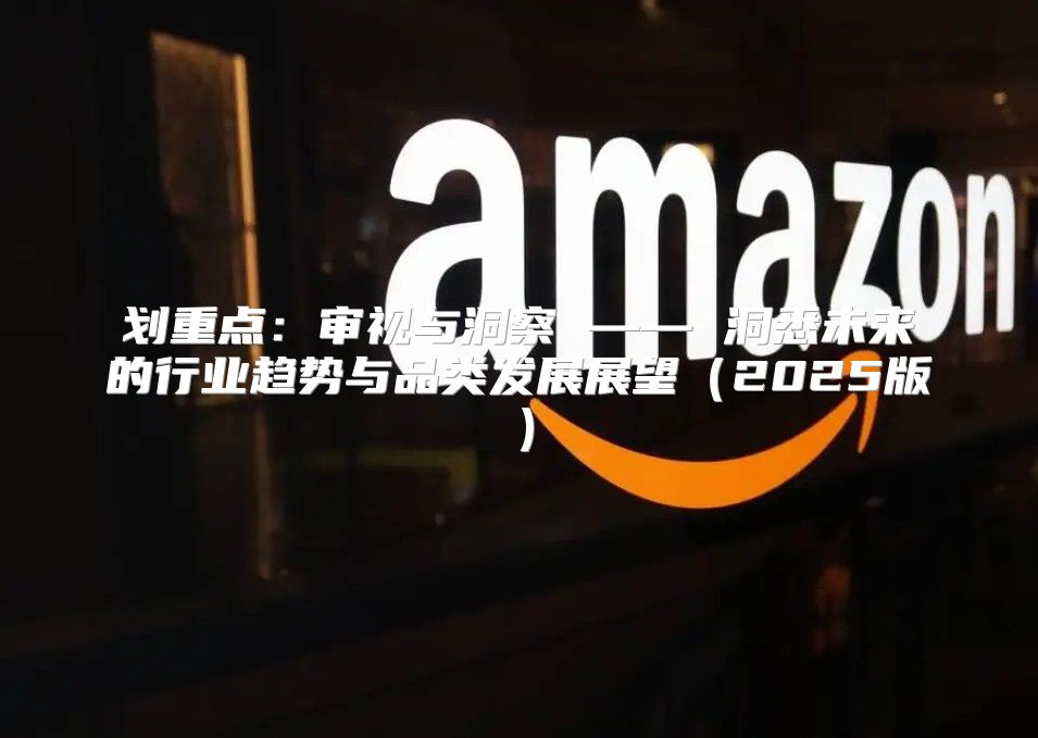 划重点：审视与洞察 —— 洞悉未来的行业趋势与品类发展展望2025版