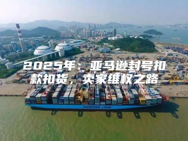 2025年：亚马逊封号扣款扣货，卖家维权之路