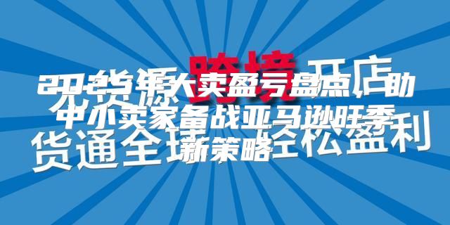 2025年大卖盈亏盘点，助中小卖家备战亚马逊旺季新策略