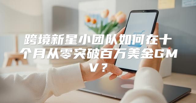 跨境新星小团队如何在十个月从零突破百万美金GMV？