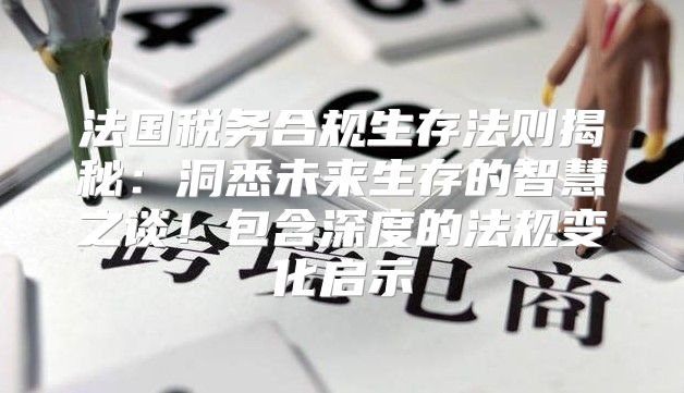 法国税务合规生存法则揭秘：洞悉未来生存的智慧之谈！包含深度的法规变化启示