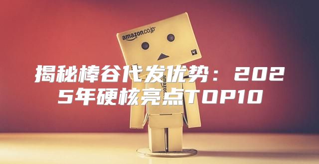 揭秘棒谷代发优势：2025年硬核亮点TOP10