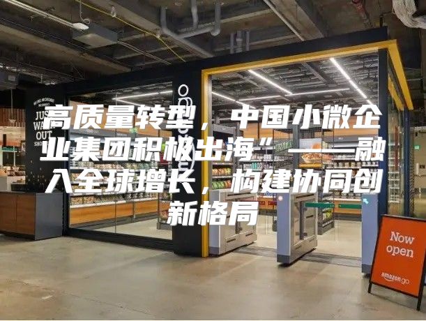 高质量转型，中国小微企业集团积极出海”——融入全球增长，构建协同创新格局