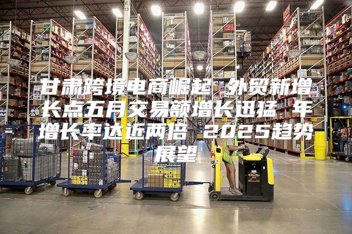 甘肃跨境电商崛起 外贸新增长点五月交易额增长迅猛 年增长率达近两倍 2025趋势展望
