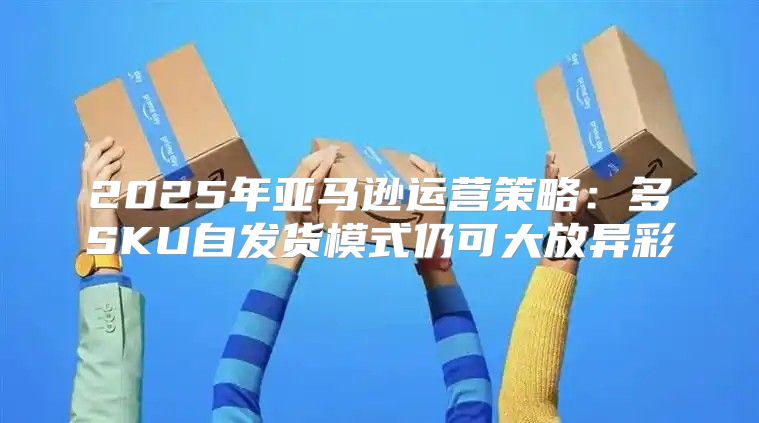 2025年亚马逊运营策略：多SKU自发货模式仍可大放异彩