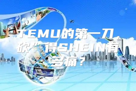 TEMU的第一刀，砍”得SHEIN有多痛？