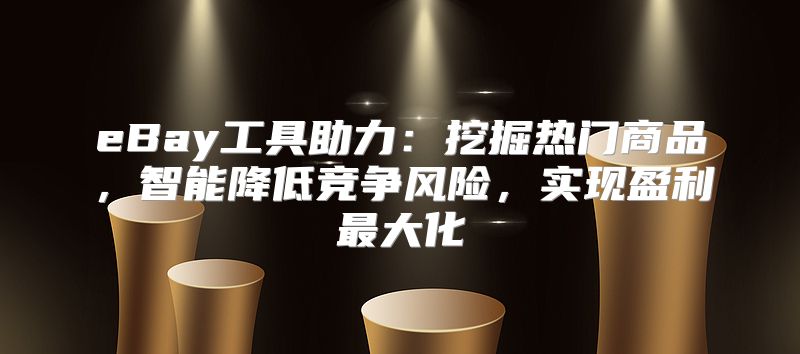 eBay工具助力：挖掘热门商品，智能降低竞争风险，实现盈利最大化