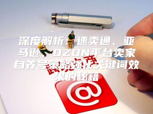 深度解析：速卖通、亚马逊、OZON平台卖家自养号策略强化关键词效果的秘籍