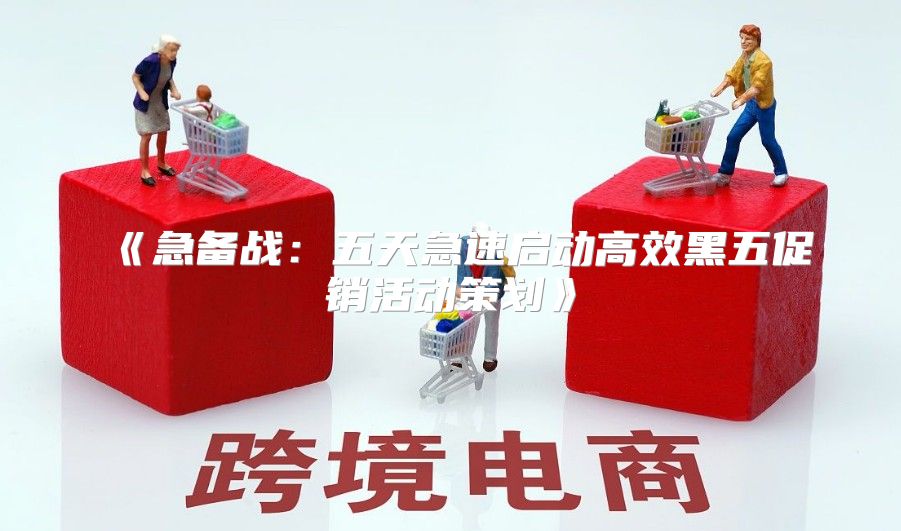急备战：五天急速启动高效黑五促销活动策划
