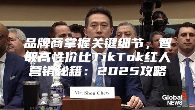 品牌商掌握关键细节，智取高性价比TikTok红人营销秘籍：2025攻略