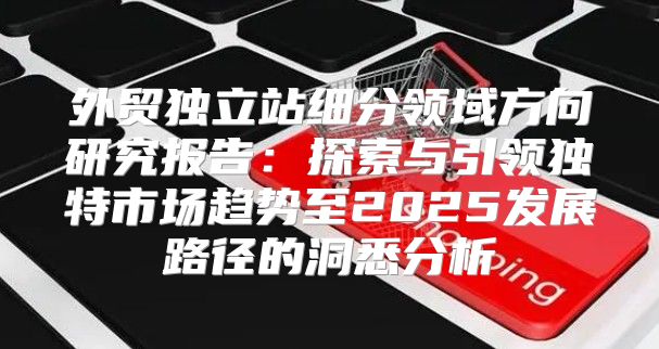 外贸独立站细分领域方向研究报告：探索与引领独特市场趋势至2025发展路径的洞悉分析