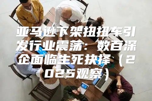 亚马逊下架扭扭车引发行业震荡：数百深企面临生死抉择2025观察