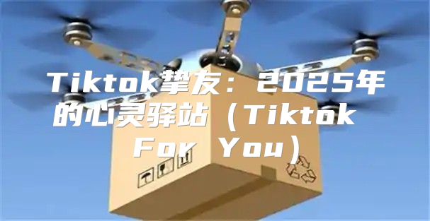Tiktok挚友：2025年的心灵驿站Tiktok For You