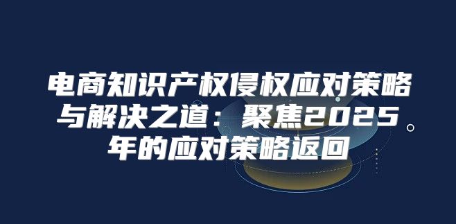 电商知识产权侵权应对策略与解决之道：聚焦2025年的应对策略返回