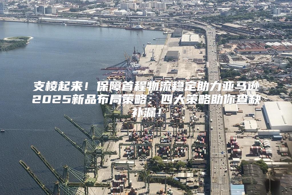 支棱起来！保障首程物流稳定助力亚马逊2025新品布局策略：四大策略助你查缺补漏！