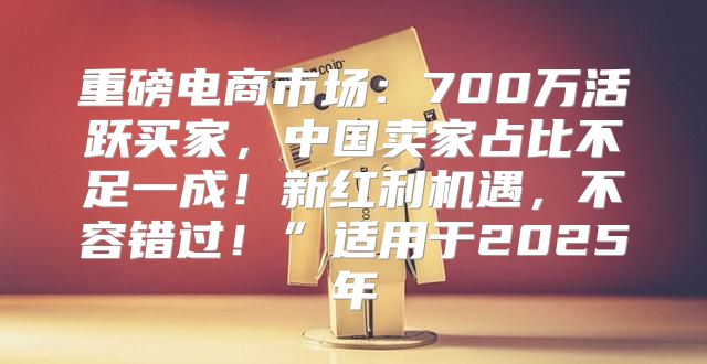 重磅电商市场：700万活跃买家，中国卖家占比不足一成！新红利机遇，不容错过！”适用于2025年