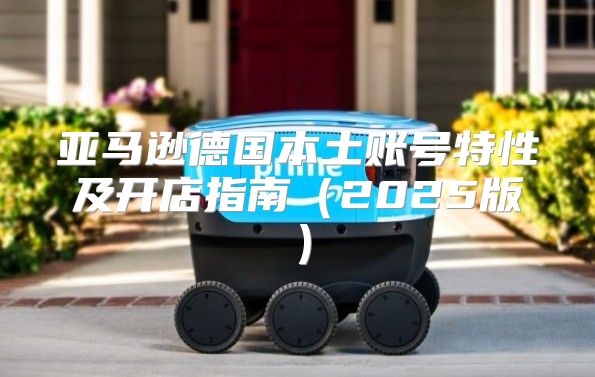 亚马逊德国本土账号特性及开店指南2025版