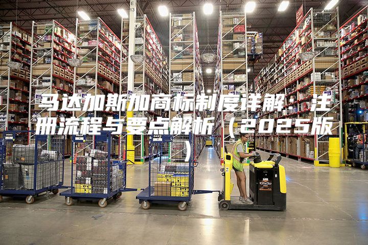 马达加斯加商标制度详解：注册流程与要点解析2025版