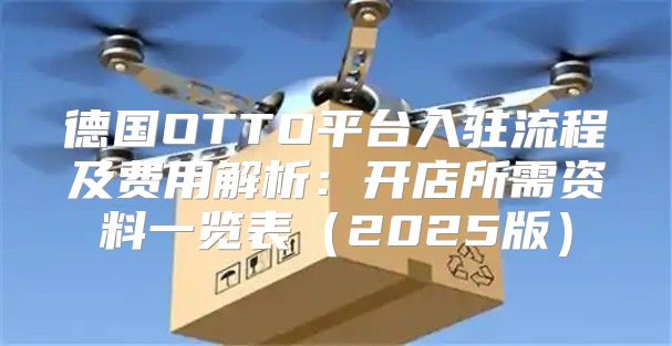 德国OTTO平台入驻流程及费用解析：开店所需资料一览表2025版
