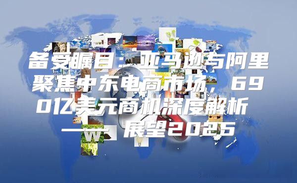 备受瞩目：亚马逊与阿里聚焦中东电商市场，690亿美元商机深度解析 —— 展望2025