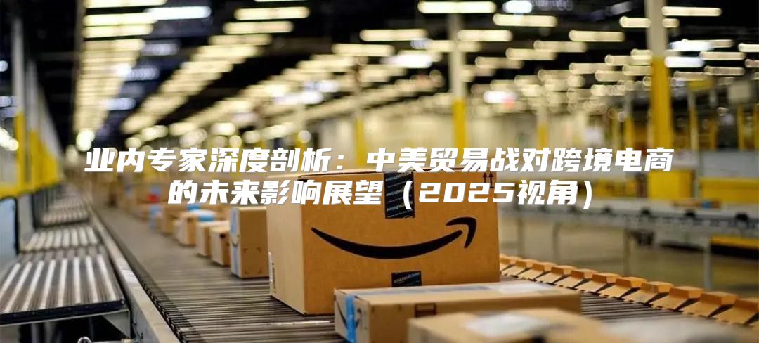 业内专家深度剖析：中美贸易战对跨境电商的未来影响展望2025视角