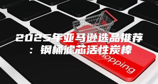 2025年亚马逊选品推荐：钢桶滤芯活性炭棒